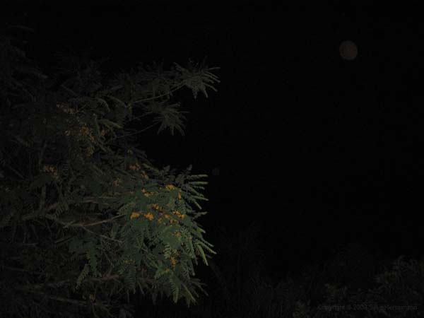 Brasilien 2009 052