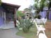 Brasilien 2009 023
