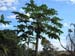 Brasilien 2009 038