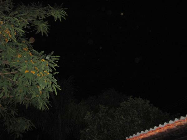 Orb-Bilder 2009 044