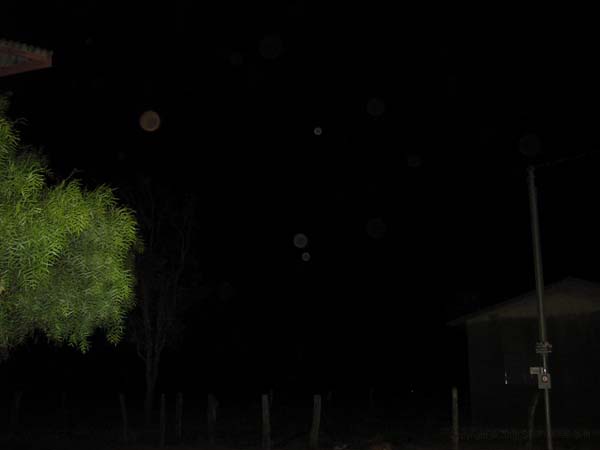 Orb-Bilder 2009 277