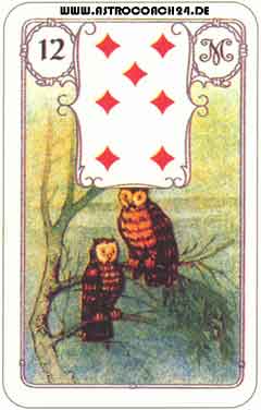 Mme Lenormand Karte Nr. 12: Die Eulen: Kontakte, Nervosit&auml;t